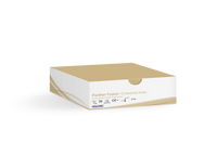 Caixa do ensaio em fundo branco