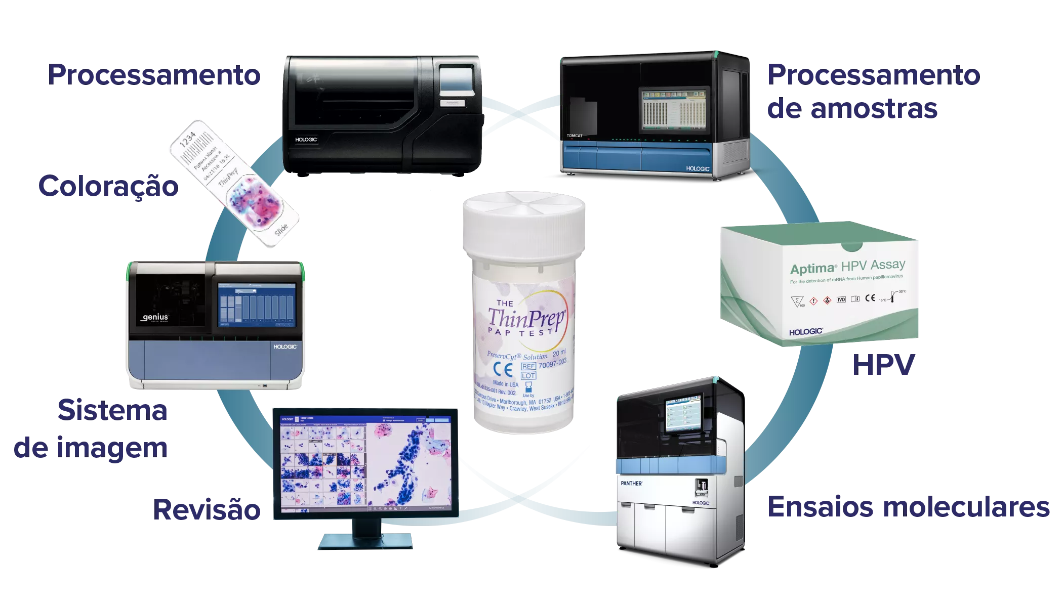 Gráfico mostrando a ligação entre produtos Hologic